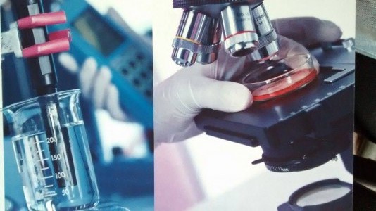 microbiology-comenius