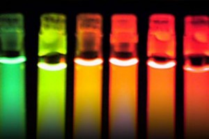 βιοφυσική, ιατρική οδοντιατρική μπρατισλάωα